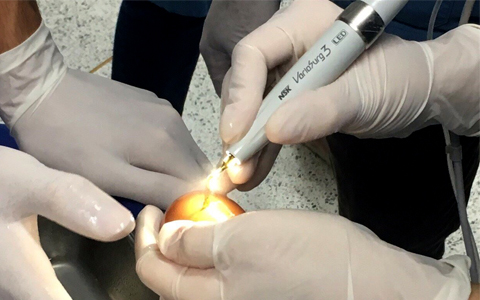VarioSurg3 Piezo Surgery Hands-on at Chiang Mai University