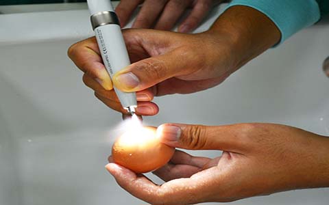 "VarioSurg3 Piezo Surgery Hands-on" ร่วมกับอาจารย์และนักศึกษา คณะทันตแพทยศาสตร์ มหาวิทยาลัยมหิดล