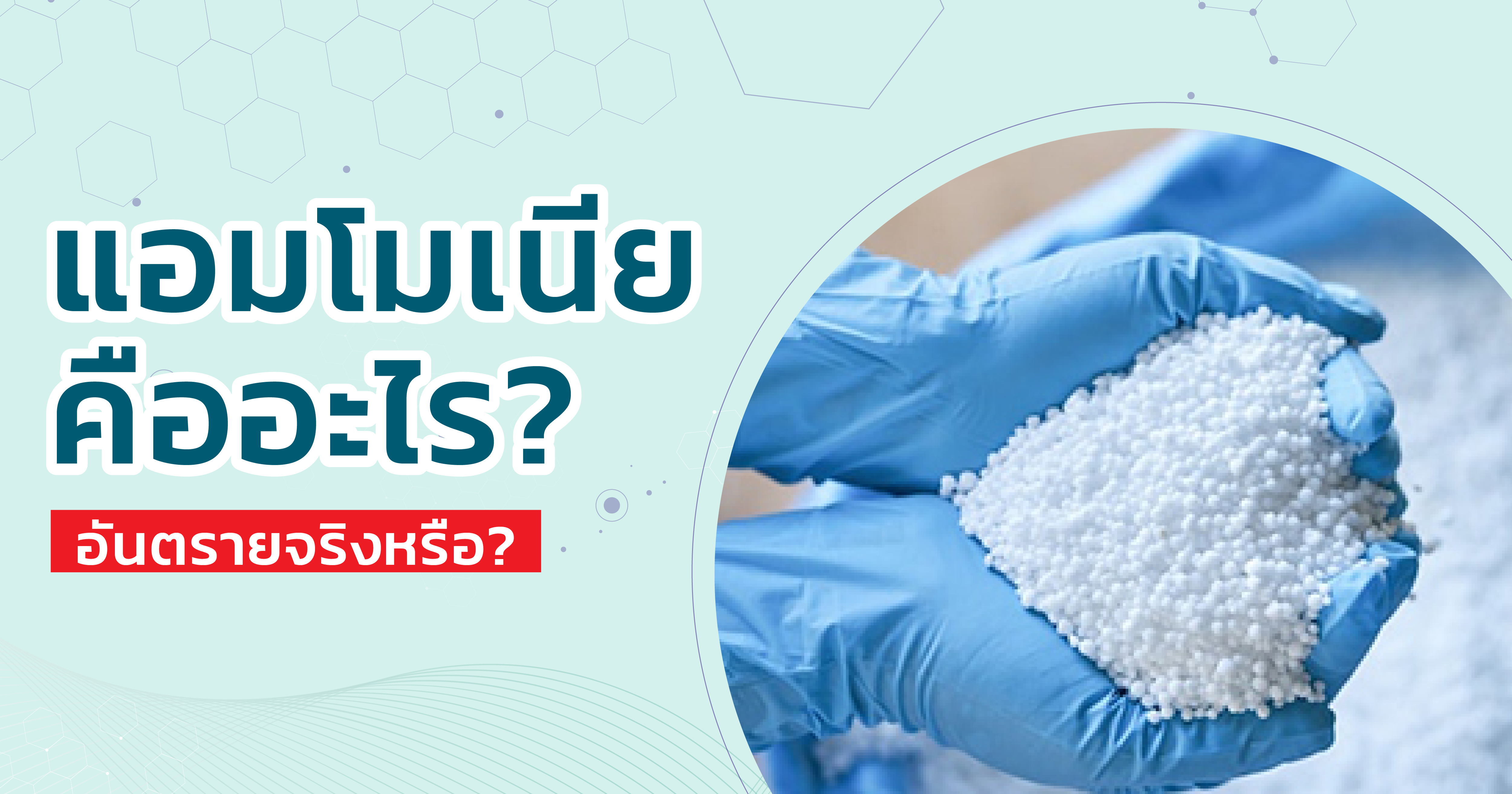 แอมโมเนีย คืออะไร? อันตรายจริงหรือ?